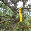 철성농장 이미지