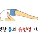 필라테스 평일 이미지