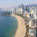 수영 센텀부동산 공인중개사사무소 네이버블로그