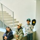 엠케이 쿠키뉴스
