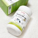 사계절자연방목농장 이미지