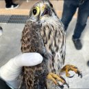 광주광역시야생동물구조관리센터 이미지