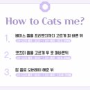 캣츠네일 이미지