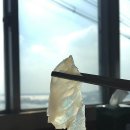 진미명가식당 이미지