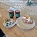 용연초등학교 | 카페_트리폰즈, 양산 카페, 양산 하북 카페, 자두 크로와상, 트리폰즈 케이크, 아이스 아메리카노, 정원...