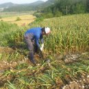 뽑고또뽑고 이미지