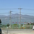 돼지신랑 순대각시 이미지