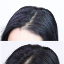 ㈜시원 | 두피케어샴푸 아윤채 리밸런싱 샴푸로 개운한 두피 관리 솔직 후기