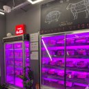 시후축산 | 의정부역 맛집 가성비 좋은 육탑 정육식당 내돈내산 후기