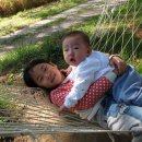 그물집 민박 이미지