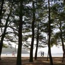 개천마을민박 이미지