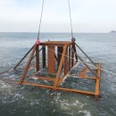 연안목장 이미지