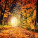 은아영재어린이집 이미지