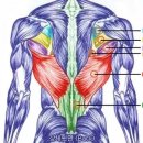 이지짐(EZGYM) 이미지