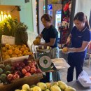 월드포장 이미지