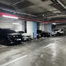 신중국전문