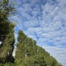 원천이발관 이미지