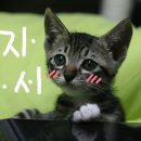 홍반찬