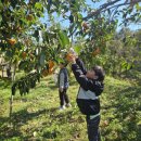 석곡초등학교 이미지