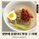 여름엔 역시 명태회냉면 예당막국수 명태회무침 솔직후기