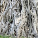 조성5일시장 | 태국 방콕 3박5일 자유여행 일정 및 경비 정리