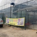 민경이네 다육 이미지