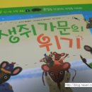 신나는수학동화 이미지