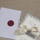 내가할개 | 14. 청첩장 견적 (feat.비즈하우스, 바른손카드, 보자기카드) 지금부터 내가 해야할 선택? 오백만개..