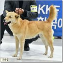 김사장