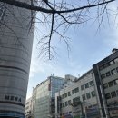 와이제이쇼핑 이미지