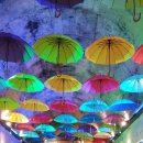 태경농장 이미지