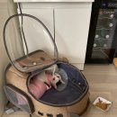 동탄중앙동물병원 이미지