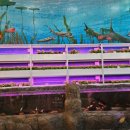 스마트농장 이미지