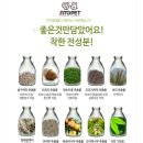 아토펫 | 강아지보습제 아토펫으로 반련견 오케이 피부관리해요!