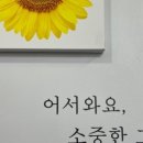 오땡큐머리염색방 이미지