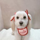 몽심살롱 이미지