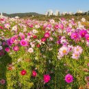 그린님! 반갑습니다 이미지