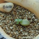 초록정원 이미지