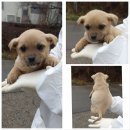 강문리 마을회관 이미지