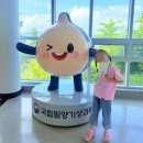 국립밀양기상과학관 | [국립 밀양 기상과학관] 경남 실내 아이랑 가볼 만한 코스