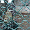 태안농장 이미지