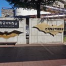 (강원도 동해시), 천곡황금박쥐동굴 이미지