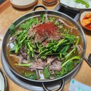 빛마루농장 이미지