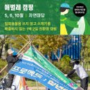스튜디오유 | 해뜰마루 친환경 1박2일 캠프2026 애벌레캠핑 / 신청중