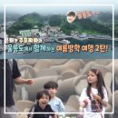 천부상회 이미지