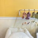 페어리몽드 이미지