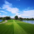 그린미트 이미지