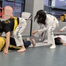 국가대표 경호 태권도장 이미지