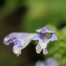 아주노동조합 이미지