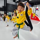 품 태권도장 이미지